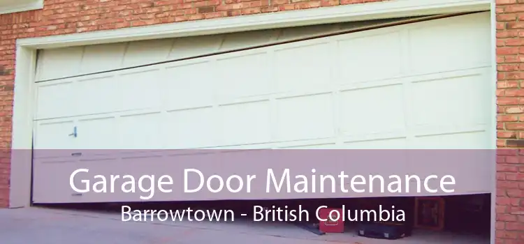 Garage Door Maintenance Barrowtown - British Columbia