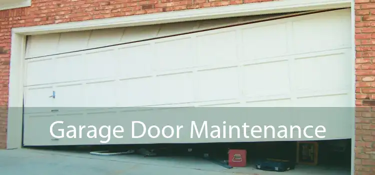 Garage Door Maintenance