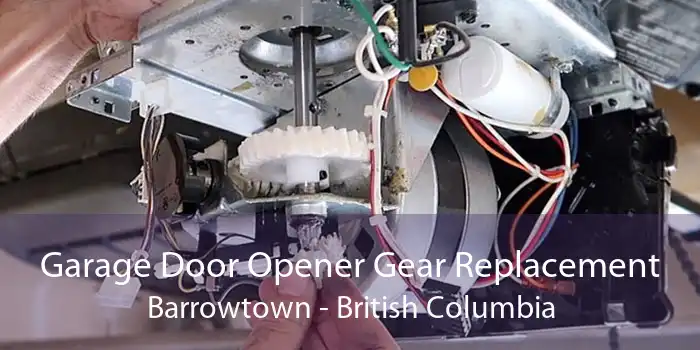Garage Door Opener Gear Replacement Barrowtown - British Columbia