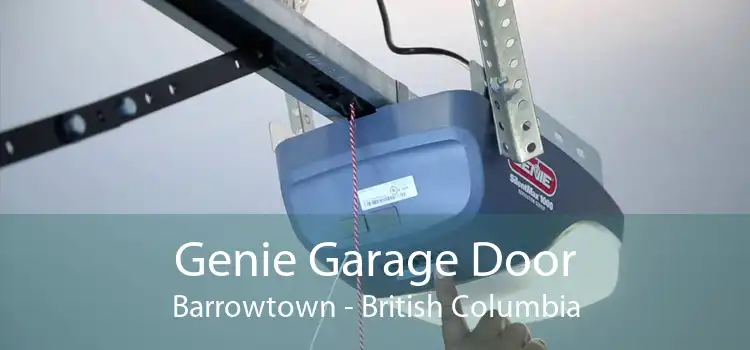 Genie Garage Door Barrowtown - British Columbia