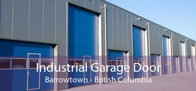 Industrial Garage Door Barrowtown - British Columbia