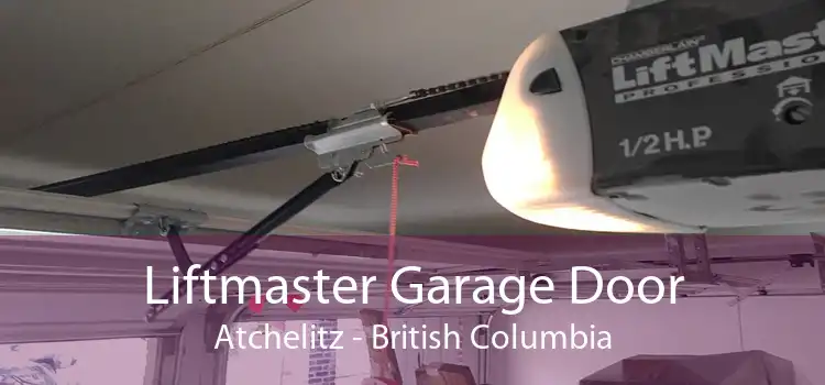 Liftmaster Garage Door Atchelitz - British Columbia