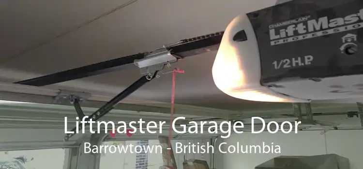 Liftmaster Garage Door Barrowtown - British Columbia